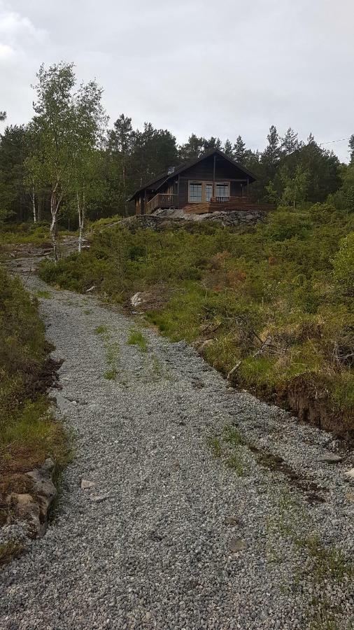 Molvik Hytten Ostereidet Exterior photo