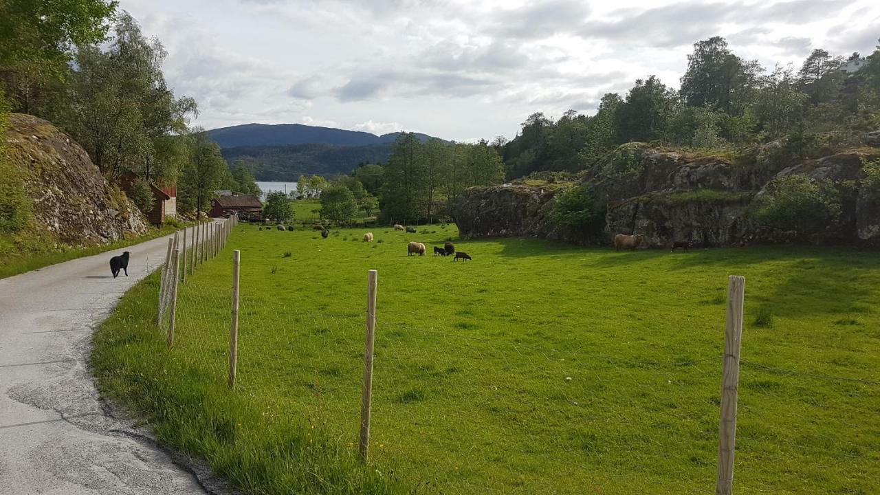 Molvik Hytten Ostereidet Exterior photo