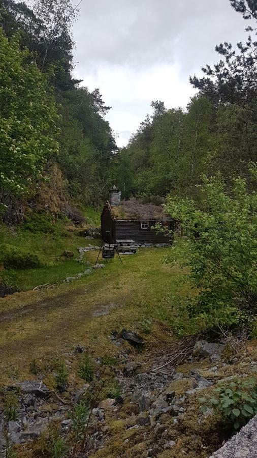 Molvik Hytten Ostereidet Exterior photo